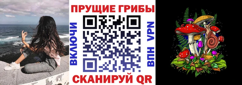 Галлюциногенные грибы Cubensis  OMG зеркало  Чкаловск 