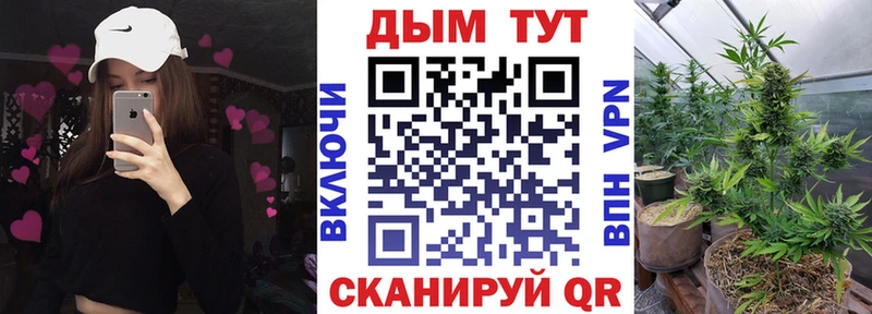 Бошки марихуана MAZAR  где продают наркотики  Чкаловск 
